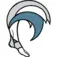 First Coast Foot and Ankle Clinic logo