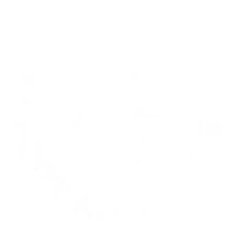 Podiatric Associates Foot and Ankle Center logo